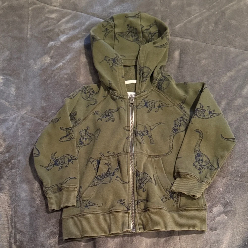 Carter's Olive Dinosaur Hoodie - Picture 1 of 1
